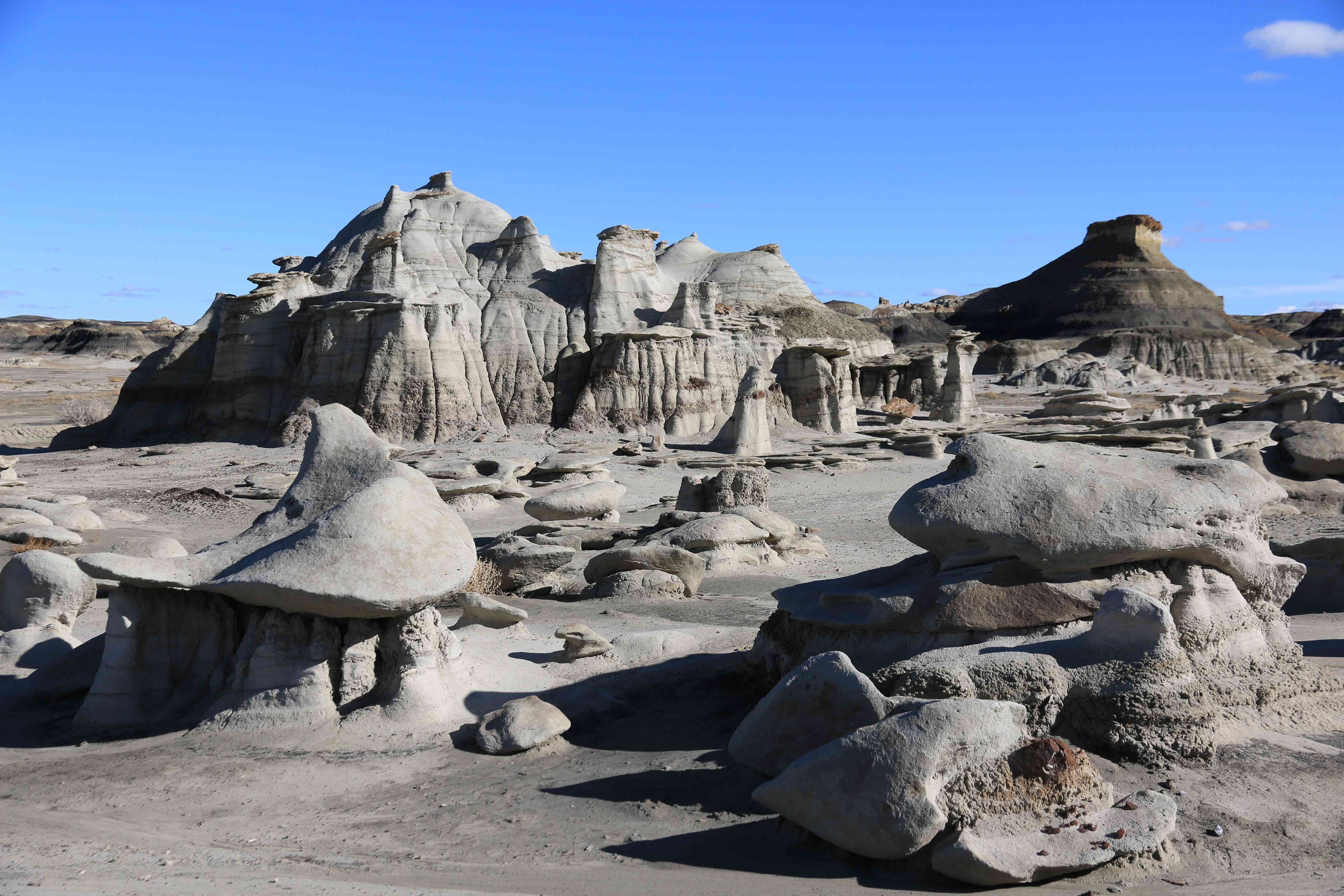 Bisti Badlands